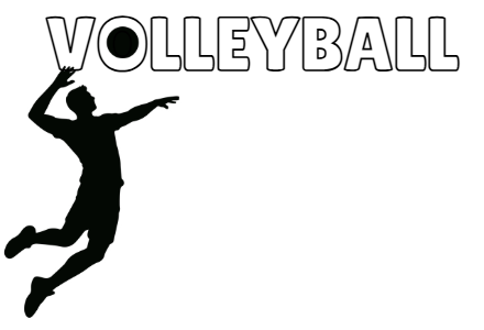 volleyball.ecda102273.png