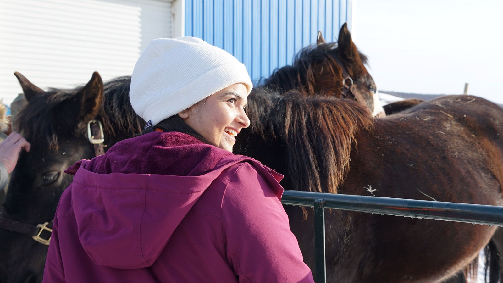 Teachers fuse language and culture across subjects.